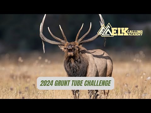 2024 Elk Grunt Tube Showdown: 7 Bugle Tubes, 1 Winner - You Decide!