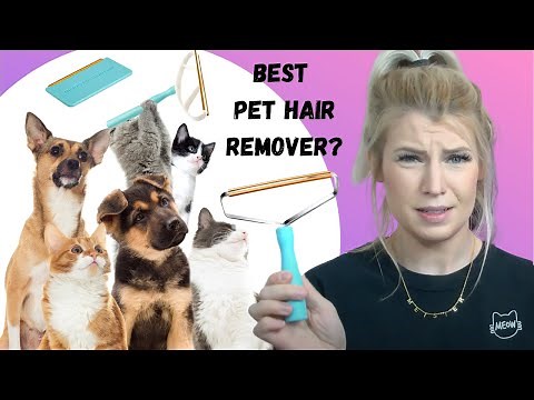 Uproot Clean Pet Hair Remover Review: Does it actually work?