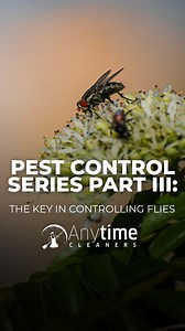 2.1K views · 17 reactions | PEST CONTROL SERIES PART 3: The Key in Controlling Flies #AnytimeCleaners #CleaningServices #firstclasscleaningservices #pestcontrolservice | Anytime Cleaners | Facebook