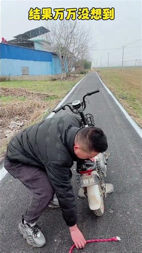 Unbelievable Results! Niu Bao's Hilarious Adventure Unveiled