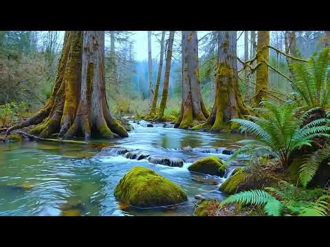 10‑Hour River Sounds for Deep Sleep | Relaxing Water Ambience & White Noise