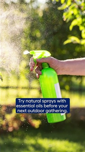 How to Get Rid of Mosquitoes