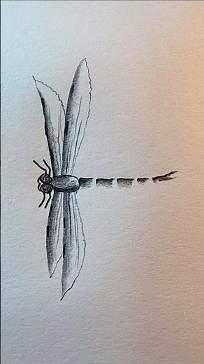 How to draw hopper #easydrawing #hopperdraw #art #pencilarts #sketching