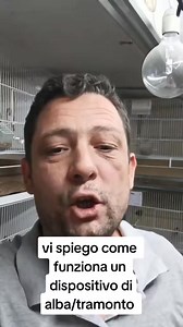 186 reactions · 79 shares | vi spiego come funziona un apparecchio di alba tramonto. #cardellinootto #cardellino8 #starseverywherecongratulaz #tarseverywhereun #starseverywherecongratulazioni #starseverywhereun #StarsEverywhere #bflifestyle @inprimopiano | Cardellinootto Salvatore | Facebook