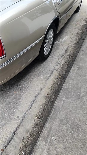 worldboss (@worldboss835)’s videos with original sound - worldboss