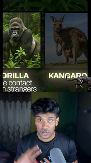 Animals and Their Worst Fear