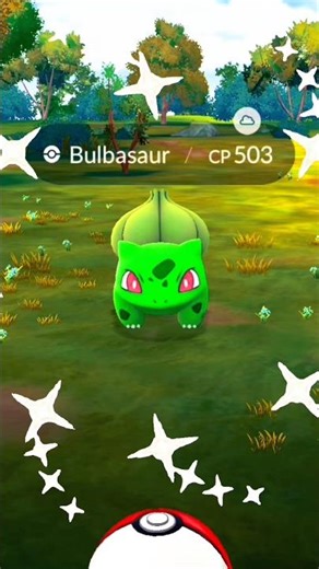 Shiny Pokémon Spawn Area Spotted #pokemongo