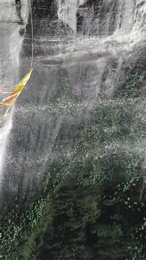 #HumHumWaterfall #BMVlog | অরণ্যে একদিন | Facebook