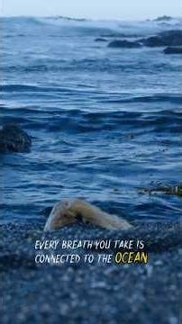 The Oceans Breaths Too