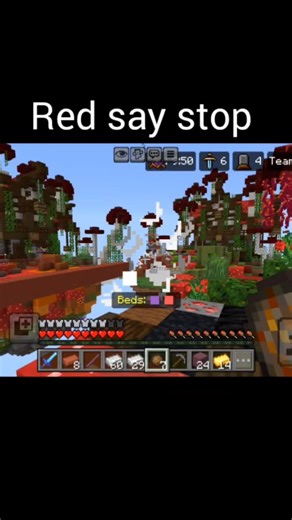 Beating the Red 🟥 team badly in Minecraft Bedwars #bedwars #Hardy gamer #phonk