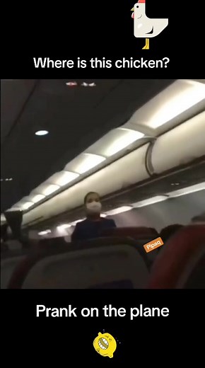 Funny Chicken Prank on Plane: Hilarious Reactions & Fails