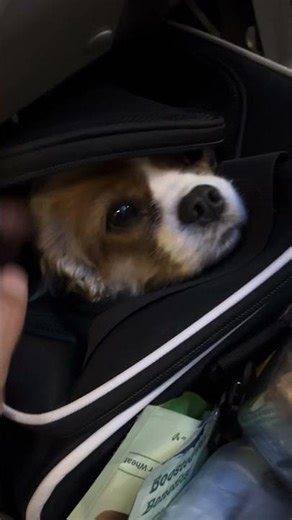 80 in Hawiwi. 40 in Seattle. 0 in Anchorage. Why do we do this?