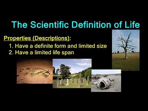 The Scientific Definition of Life (Properties)