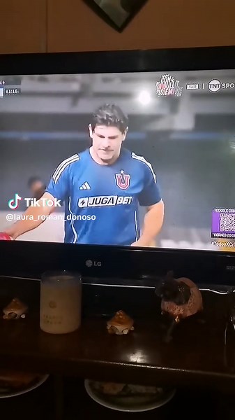 laura_roman_donoso on TikTok