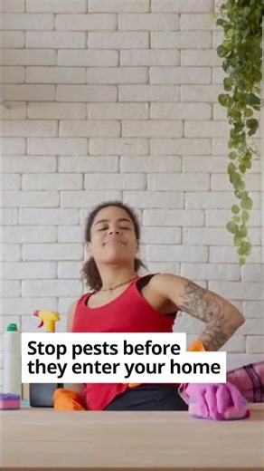 Spring Cleaning Tips for Pest-Free Homes
