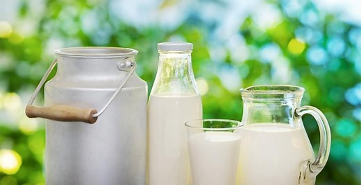 中国乳制品时代——牛奶的生产、消费与文化