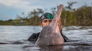 Saving the dolphins and manatees of the Amazon River