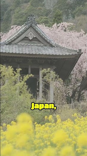Japan Spring Weather Guide 🌸 What to Wear by Region (Tokyo, Kyoto, Hokkaido & More)