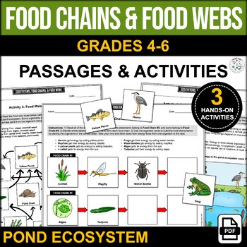 Food Webs & Food Chains Worksheet Food Chain Activity Cut & Paste 4th 5th 6th
