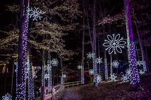 50 Events to Check Out this November in Virginia's Blue Ridge