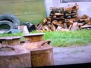 Milo and Otis Part(8)