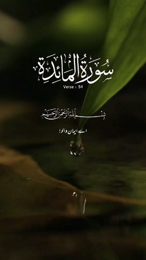 1.7K reactions · 78 shares | Surah Maida Verse 54 | Quran Words | Facebook