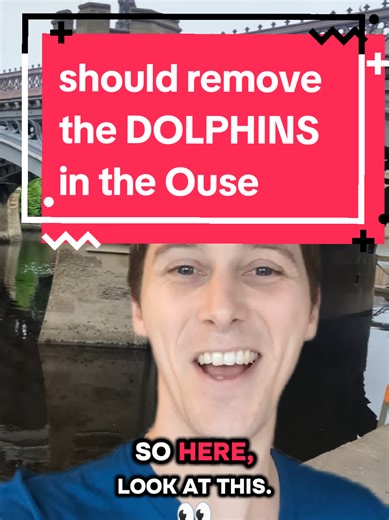 Managing Dolphins in the Ouse River: Key Considerations