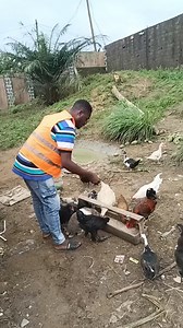 A quoi sert un master 2 en littérature au Cameroun ? | Idriss tientcheu