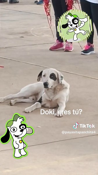 Encuentro sorpresa con Doki el perro de Discovery Kids