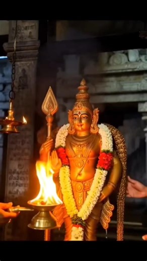 #murga #swami #murga #kumaraswamy #swami #murga #gold #murga #shortsviral #reels #shorts