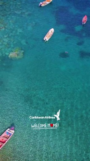 3.3K views · 27 reactions | Welcome Home to Martinique!✨ Let Mont Pelée challenge your hiking spirit, then let Les Salines soothe your soul. Martinique offers beauty at every elevation, from sea to summit! What part of the island would you explore first? Book now: https://flights.caribbean-airlines.com/en/flights-to-martinique #iflycaribbean✈️ | Caribbean Airlines | Facebook