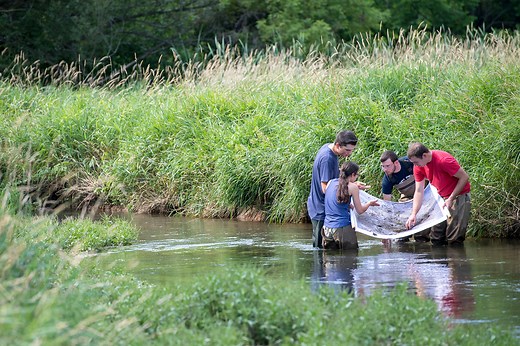 Wildlife and Fisheries Science (Academics)