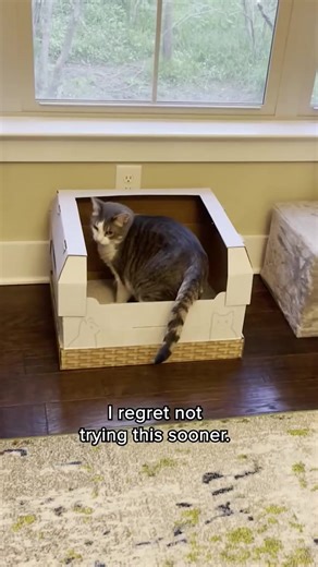 Tired of dealing with messy, smelly litter boxes? Introducing Kitty Poo Club - the revolutionary litter box system that makes cat ownership a breeze. 🐈 No more cleaning - our disposable litter boxes make it easy to keep your home stink-free. 🌿 Eco-friendly and sustainable - our boxes are made from recycled cardboard and can be recycled again. 🙀 Variety of natural litter options - keep your kitty happy and healthy. Limited Time Offer: Use code CAT30 at checkout to receive 30% off your first bo