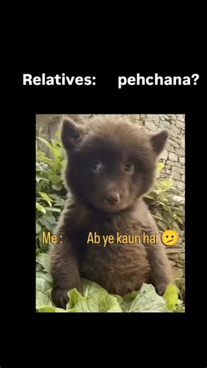 #reletive #family #life