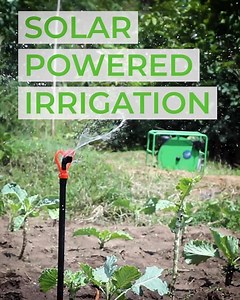 The Futurepump SF2 solar water pump Designed for farms up to 2 acres with surface water sources | Futurepump Ltd