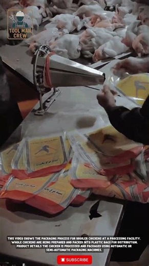 SuperFast Broiler Chicken Packing Machine - Plastic Packaging Equipment for the Meat Industry #tools