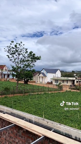 Phụ hồ cùng kiếm tiền thôi