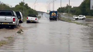 5.6K views · 51 reactions | NBC Digital News on Reels | Facebook