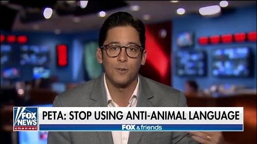 124K views · 2.6K reactions | "Bringing home the bacon" and "putting all your eggs in one basket" deemed offensive by PETA - Michael Knowles reacts | Fox & Friends | Facebook