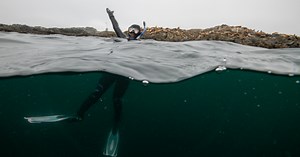 Plastic through time | Ocean School
