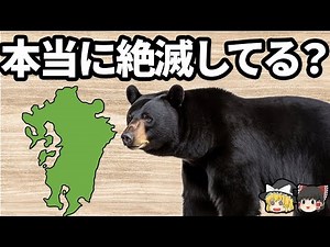 [Kyushu Geography] Here's the evidence that we can say with certainty that there are no bears in ...