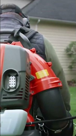 What's the BEST Backpack Blower of 2025?