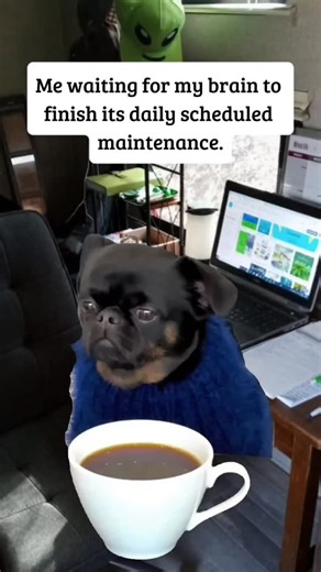 Loading.... #itsme #mybrain #loading #download #funny | Yo Alien Invasion