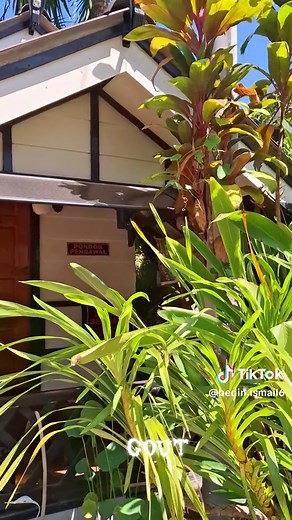 Understanding Gout: Symptoms and Management