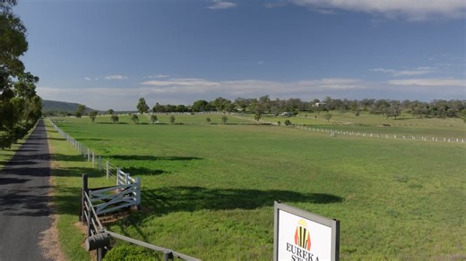 Lot 452 - Spirit of Boom x Te Amo - Colt