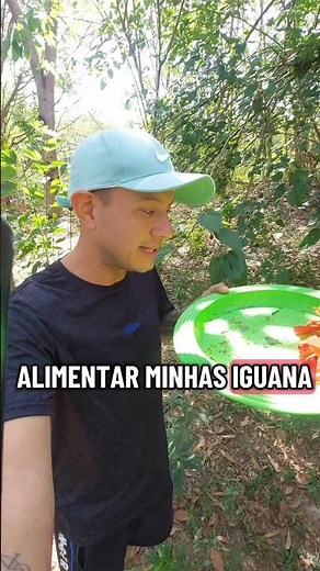 Iguanas' favorite food #howtofeediguana #iguana #reptiles #reptile #blackberry