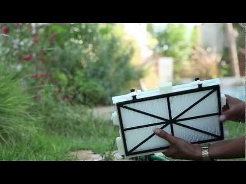 Cleaning Dolphin Filter