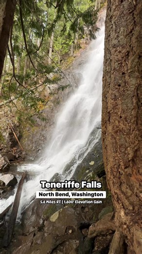 🌲💦 Teneriffe Falls near North Bend, WA is worth every step! This 5.6-mile roundtrip hike climbs about 1,500 feet through lush forest before rewarding you with a stunning cascade tumbling down the mountain. It’s a steady workout, but the views (and the misty spray at the top) make it unforgettable. 🌿 #pnwhiking #pacificnorthwest #pnw #pnwadventures | Compass Outdoors
