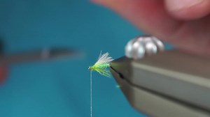 78K views · 599 reactions | Today, we're tackling a tiny titan – the...