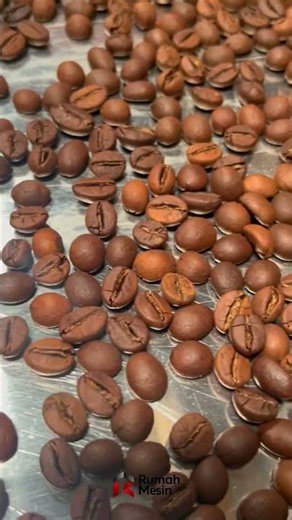 THE COFFEE SORTING PROCESS IS EASIER WITH THIS MACHINE #homemachine #machine #coffeesorting